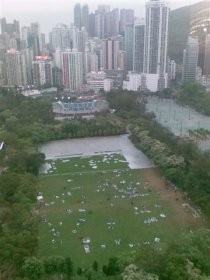 Hutan Beton Sampai ke Gunung
